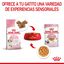 85 g Royal Canin Kitten comida húmeda en gelatina sobre para gatitos, , large indicador imagen numero 6